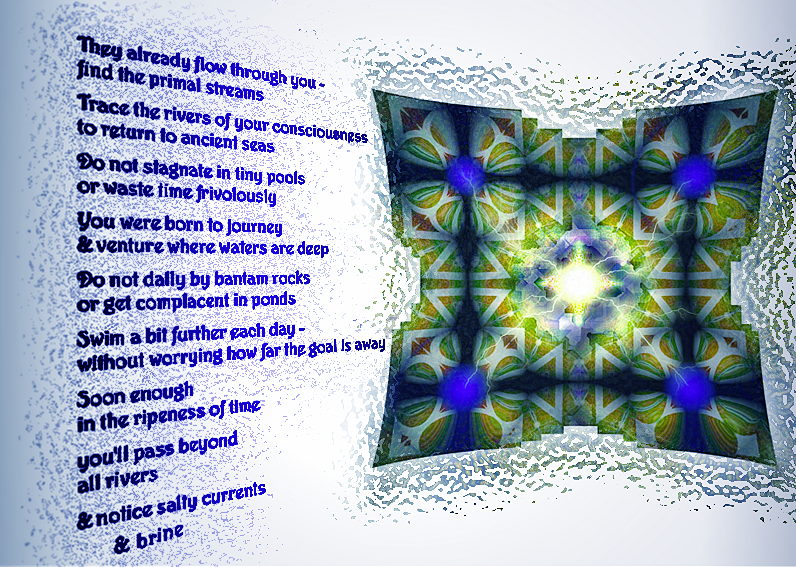 Instructions for young salmon - a pictoral poem by T Newfields created in 2005 Instructions for young salmon - an art work and poem by T Newfields