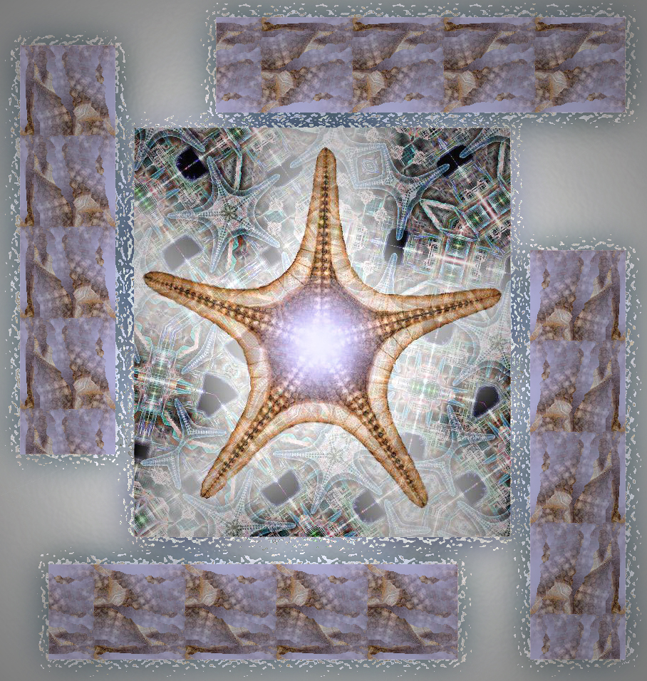 Starfish / Étoiles de mer - Art by T Newfields