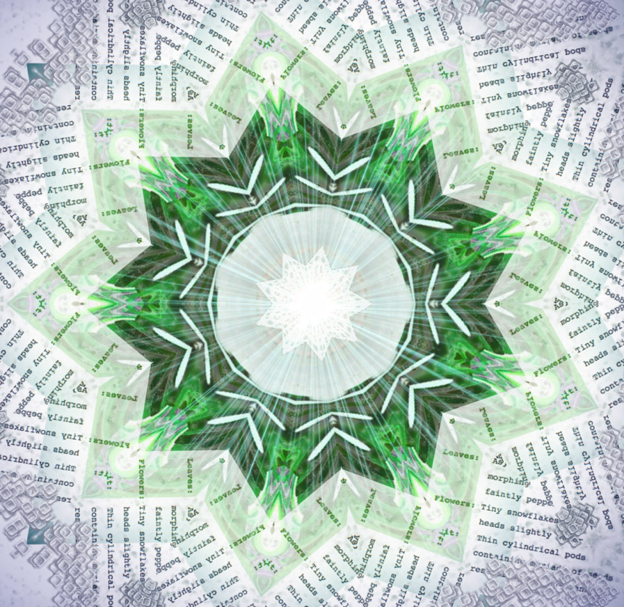Textual Synthesis, an artwork by T Newfields, depicting a mandala-like image with text and colors spiraling inward.