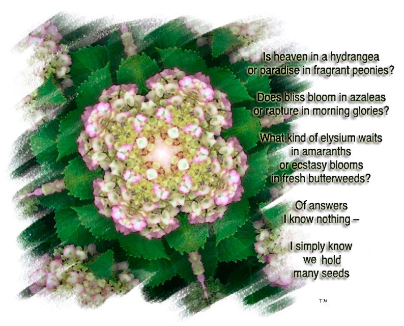 Seed Forge - art and poem by T Newfields