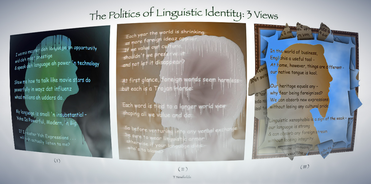 The Politics of Linguistic Identity: 3 Views - a graphic poem by T Newfields