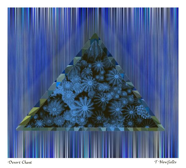 Desert Chant - an art work by T Newfields