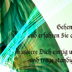 Kultur der Mittelmäßigkeit