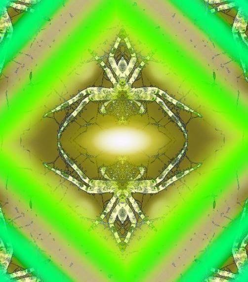 Meditaci&oacute;n De la Ara&ntilde;a - un arte de T Newfields