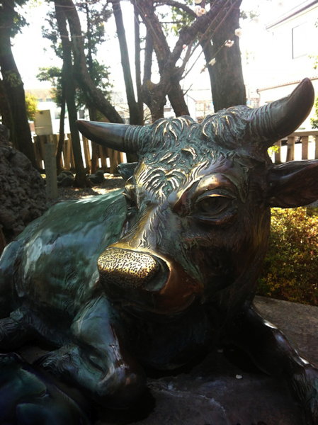 Enfrentándose al toro - una fotografía de T Newfields