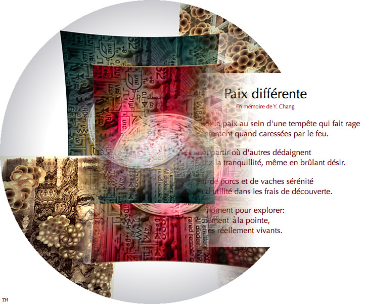 Paix diff&eacute;rente I - an art work by T Newfields