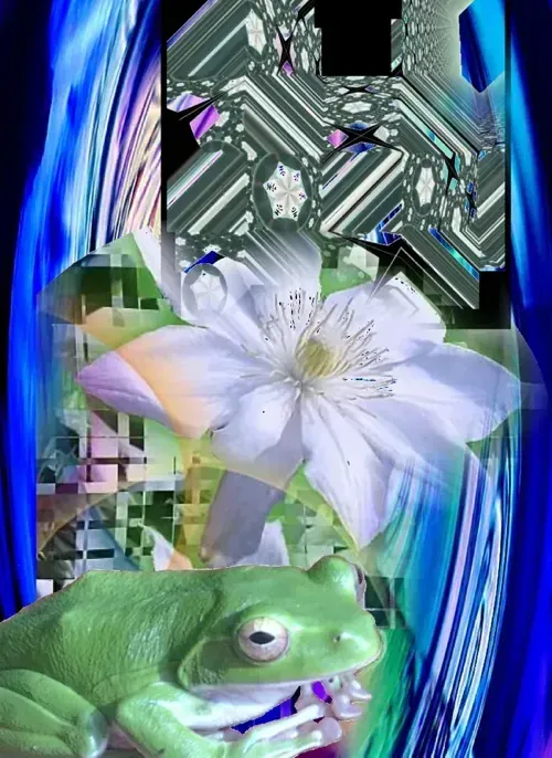 蛻變插圖